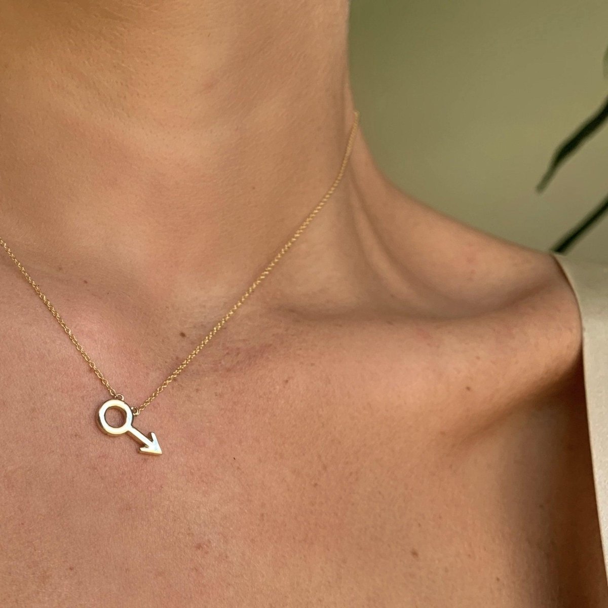 14k gold Necklace - Male Mars Symbol Necklace - Corvo Jewelry by Lily Raven