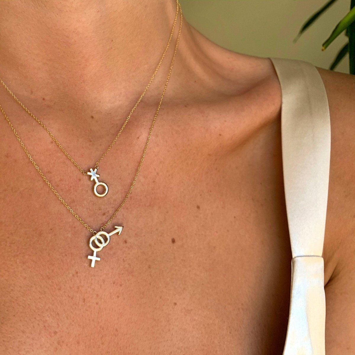 Bisexual Symbol Necklace - Corvo Jewelry By Lily Raven - 14k Gold Jewelry