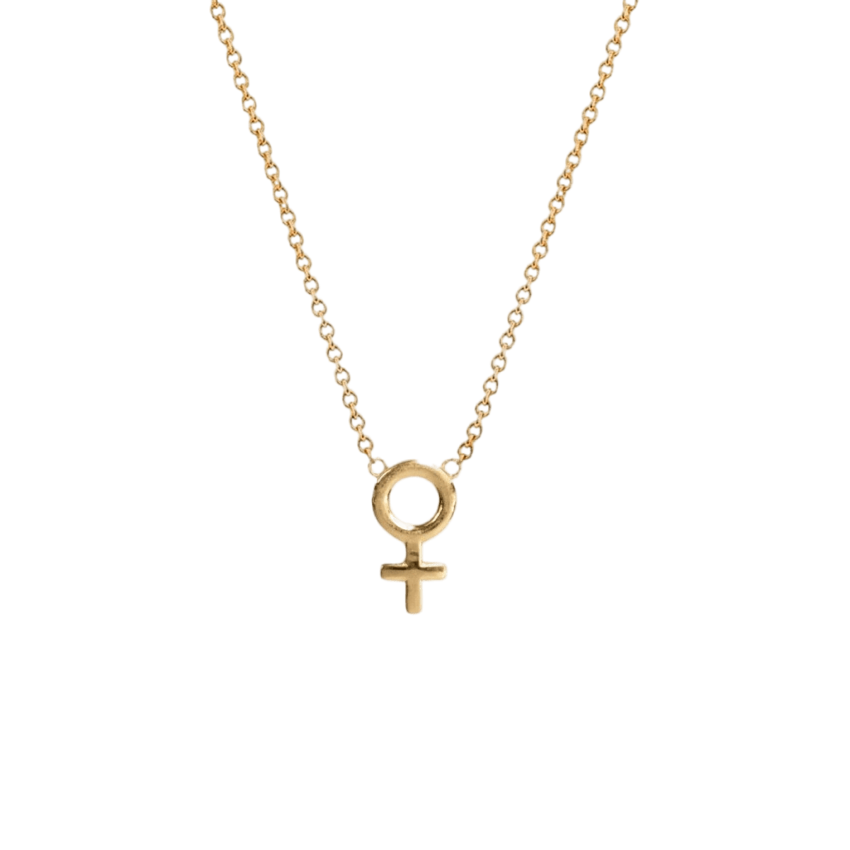 14k gold Necklace - Female Venus Symbol Necklace - Corvo Jewelry by Lily Raven