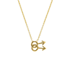 14k gold Necklace - Gay Symbol Necklace - Corvo Jewelry by Lily Raven