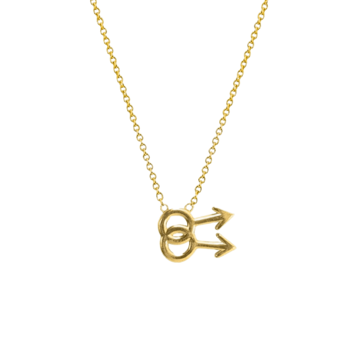 14k gold Necklace - Gay Symbol Necklace - Corvo Jewelry by Lily Raven