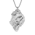 Large Terrain Pendant