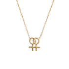 14k gold Necklace - Lesbian Symbol Necklace - Corvo Jewelry by Lily Raven
