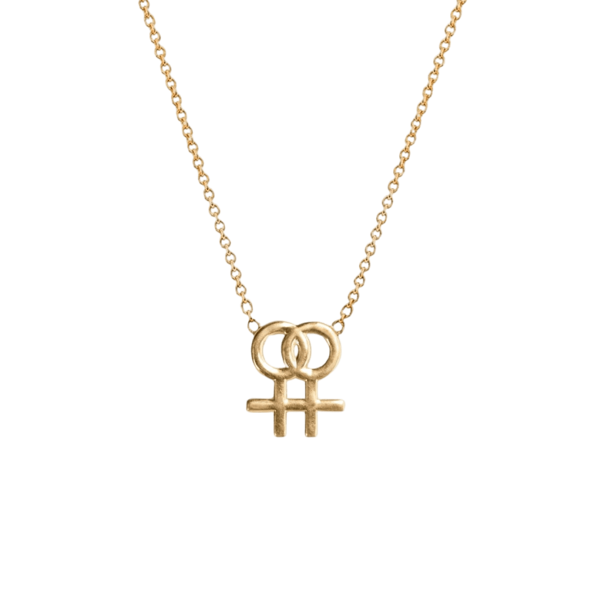 14k gold Necklace - Lesbian Symbol Necklace - Corvo Jewelry by Lily Raven