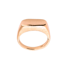 14k gold Rings - Levitate Signet Ring - Corvo Jewelry by Lily Raven