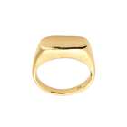 14k gold Rings - Levitate Signet Ring - Corvo Jewelry by Lily Raven