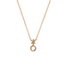14k gold Necklace - Non - Binary Symbol Necklace - Corvo Jewelry by Lily Raven