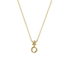 14k gold Necklace - Non - Binary Symbol Necklace - Corvo Jewelry by Lily Raven