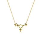 14k gold Necklace - Transgender Symbol Necklace - Corvo Jewelry by Lily Raven