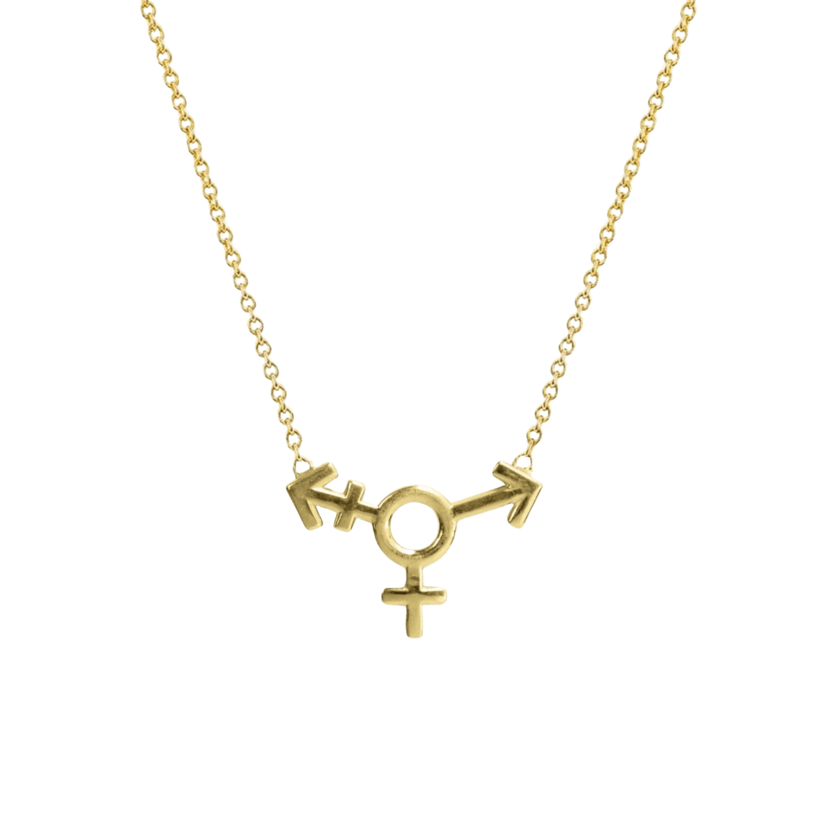 14k gold Necklace - Transgender Symbol Necklace - Corvo Jewelry by Lily Raven