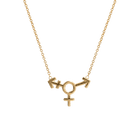 14k gold Necklace - Transgender Symbol Necklace - Corvo Jewelry by Lily Raven