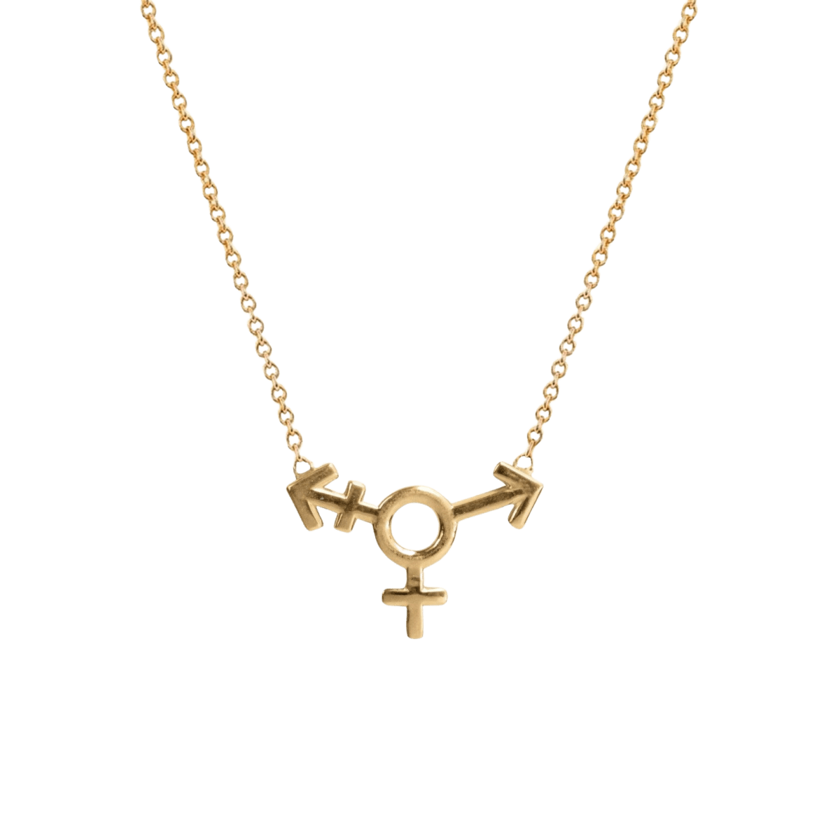 14k gold Necklace - Transgender Symbol Necklace - Corvo Jewelry by Lily Raven