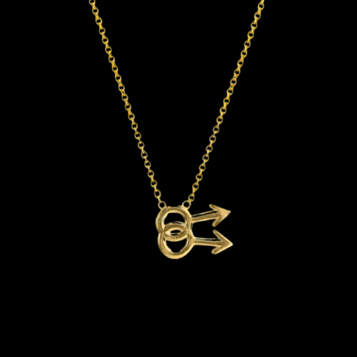 Gay Symbol Necklace - Corvo Jewelry By Lily Raven - 14k Gold Jewelry