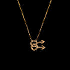 Gay Symbol Necklace - Corvo Jewelry By Lily Raven - 14k Gold Jewelry