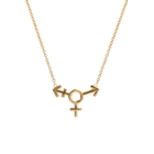 Transgender Symbol Necklace - Corvo Jewelry By Lily Raven - 14k Gold Jewelry