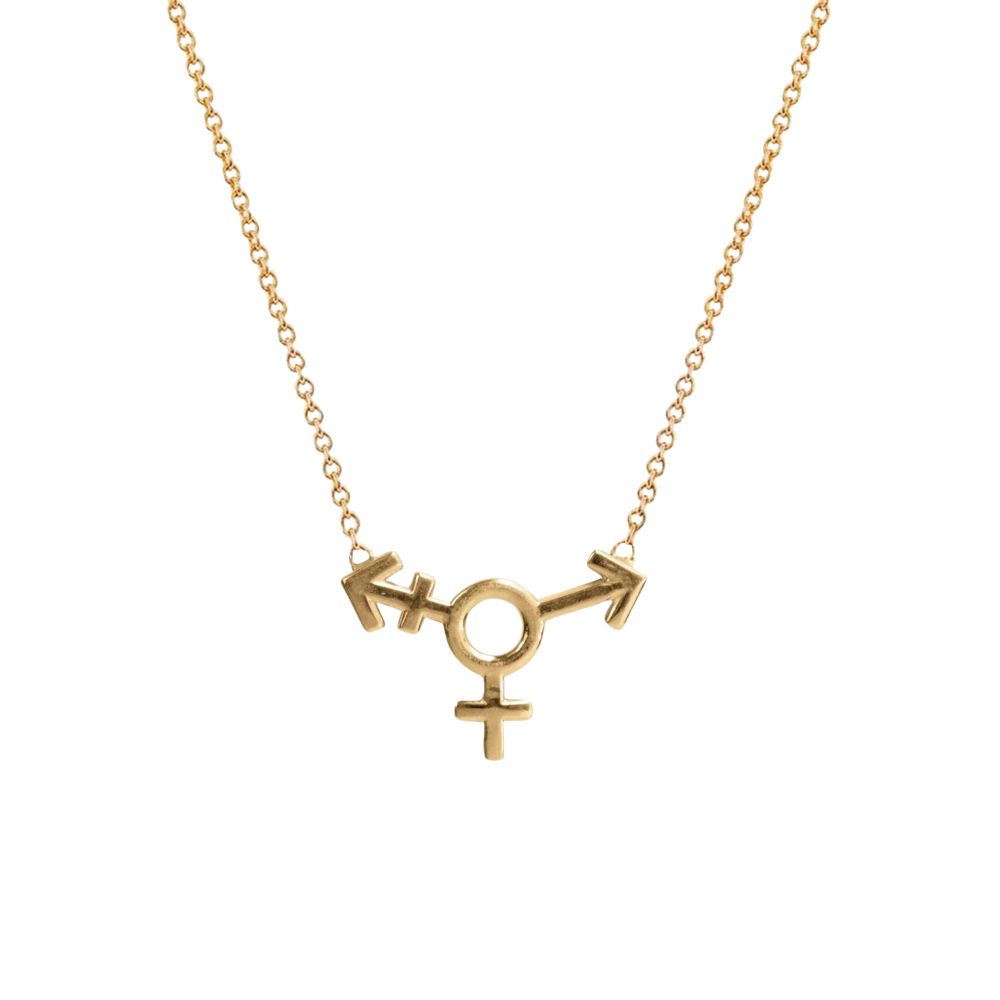 Transgender Symbol Necklace - Corvo Jewelry By Lily Raven - 14k Gold Jewelry