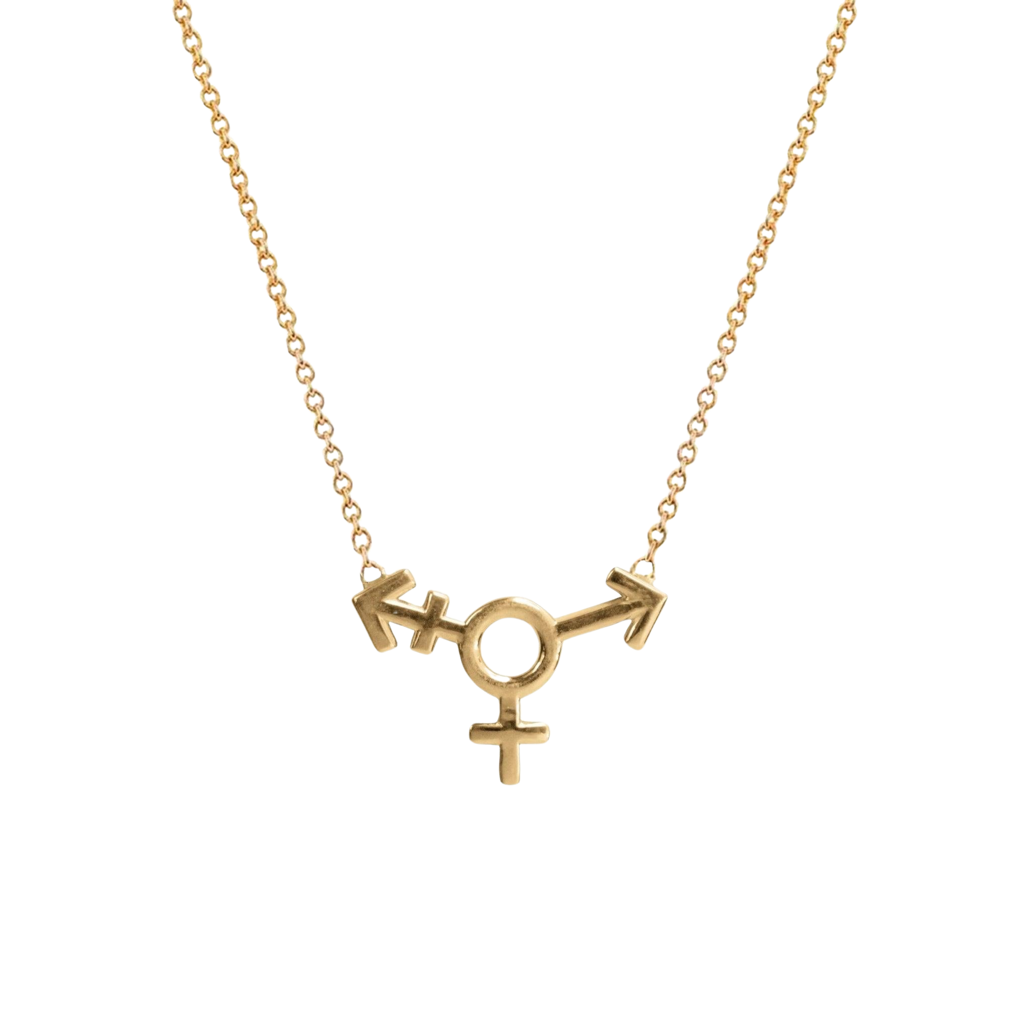 Transgender Symbol Necklace - Corvo Jewelry By Lily Raven - 14k Gold Jewelry