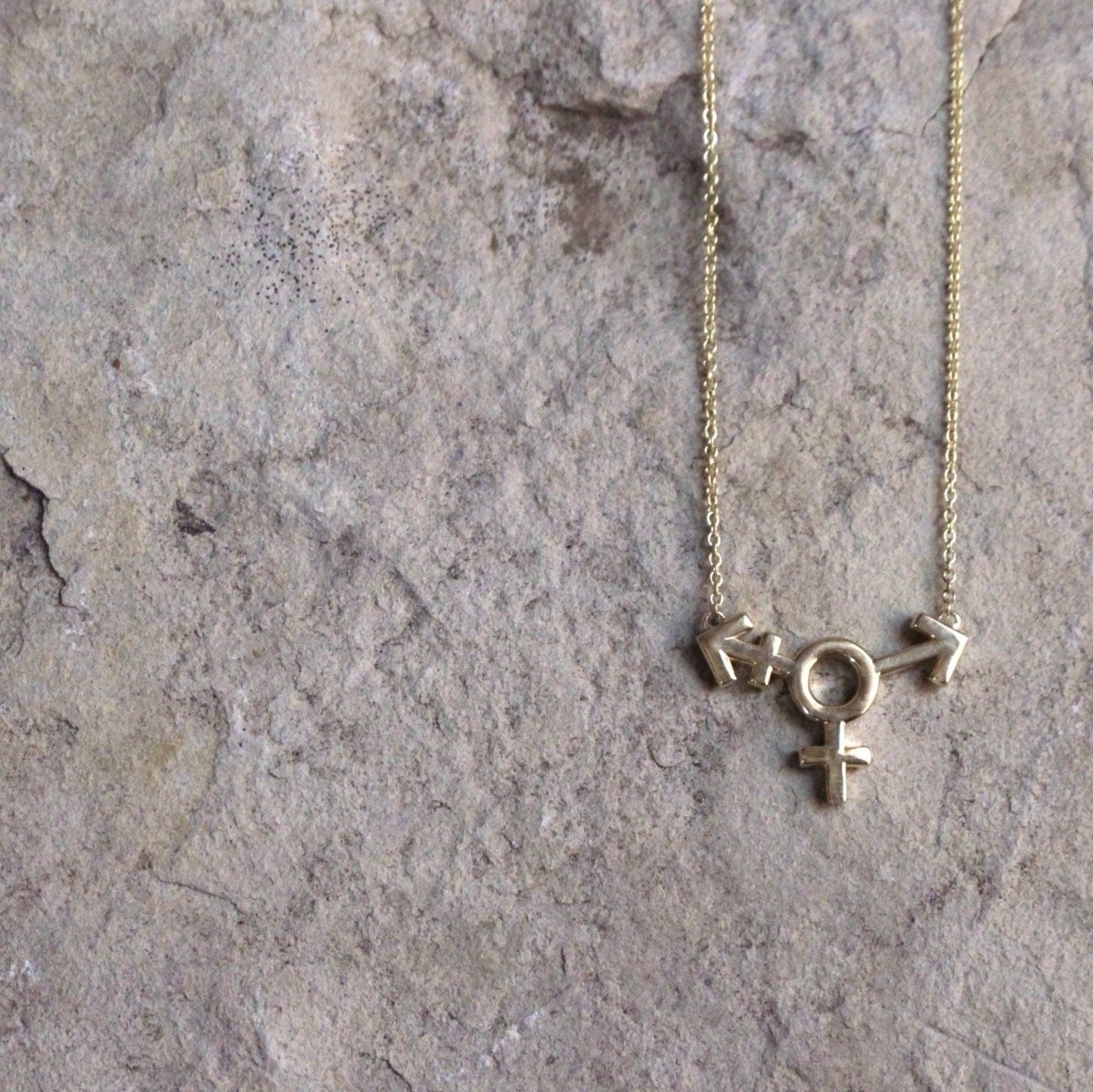 14k gold Necklace - Transgender Symbol Necklace - Corvo Jewelry by Lily Raven